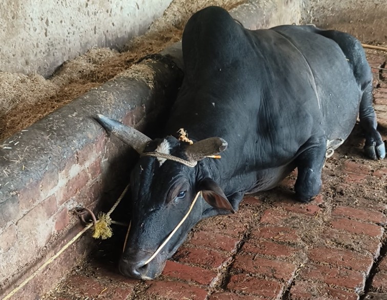 Screenshot_2025-12-11-00-30-35-56_92460851df6f172a4592fca41cc2d2e6